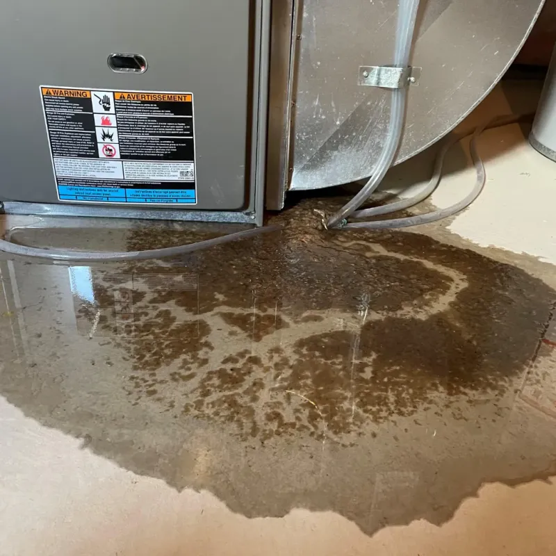 Appliance Leak Cleanup in Lincoln County, WV
