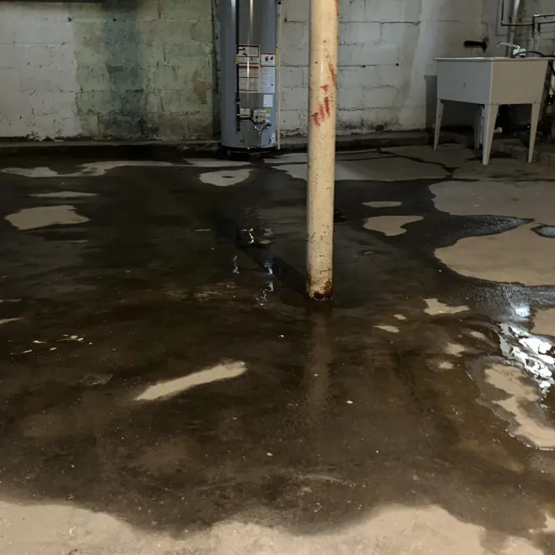 Emergency Water Extraction And Removal in Lincoln County, WV